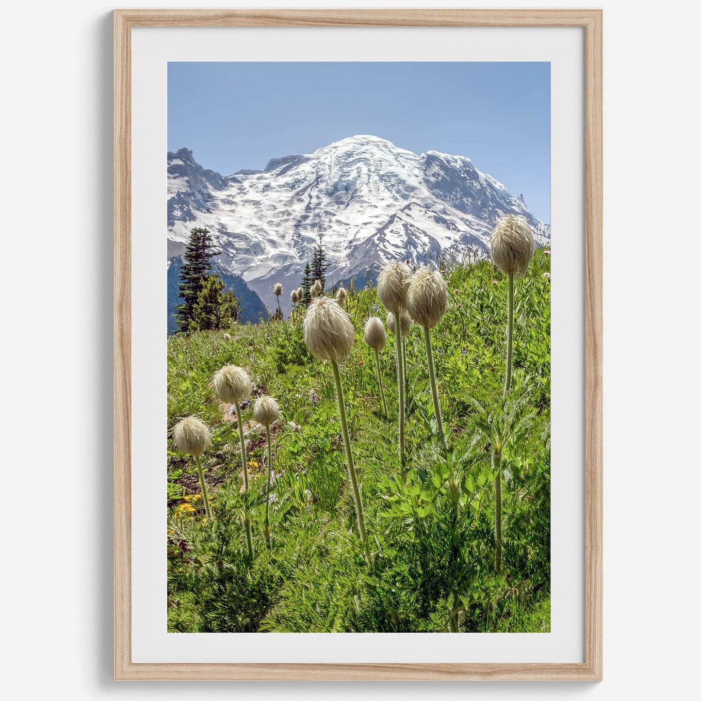 Mount Rainier Portrait