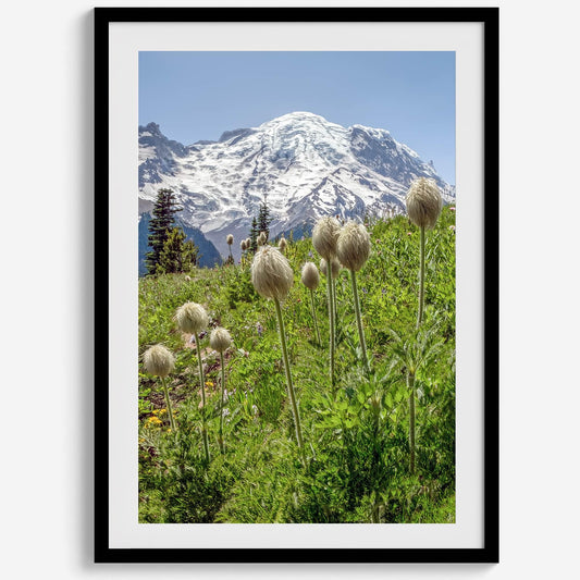 Mount Rainier Portrait
