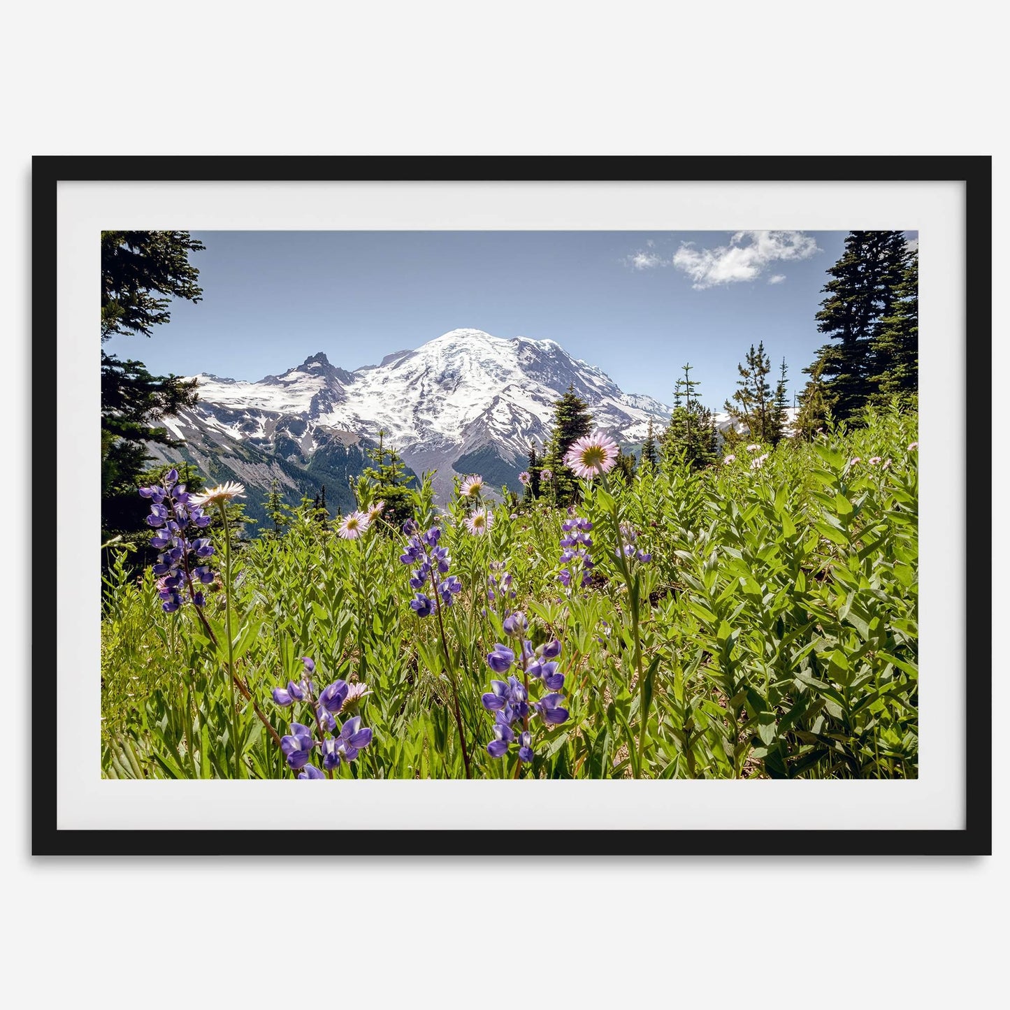 Mount Rainier
