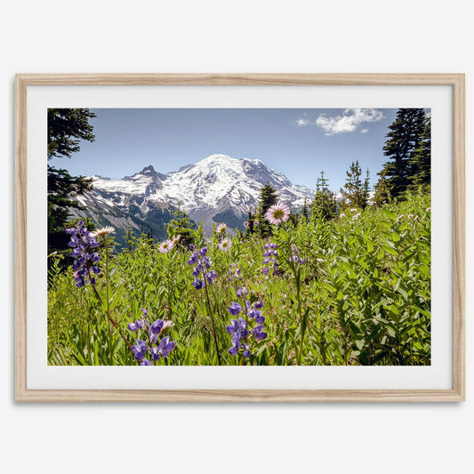 Mount Rainier