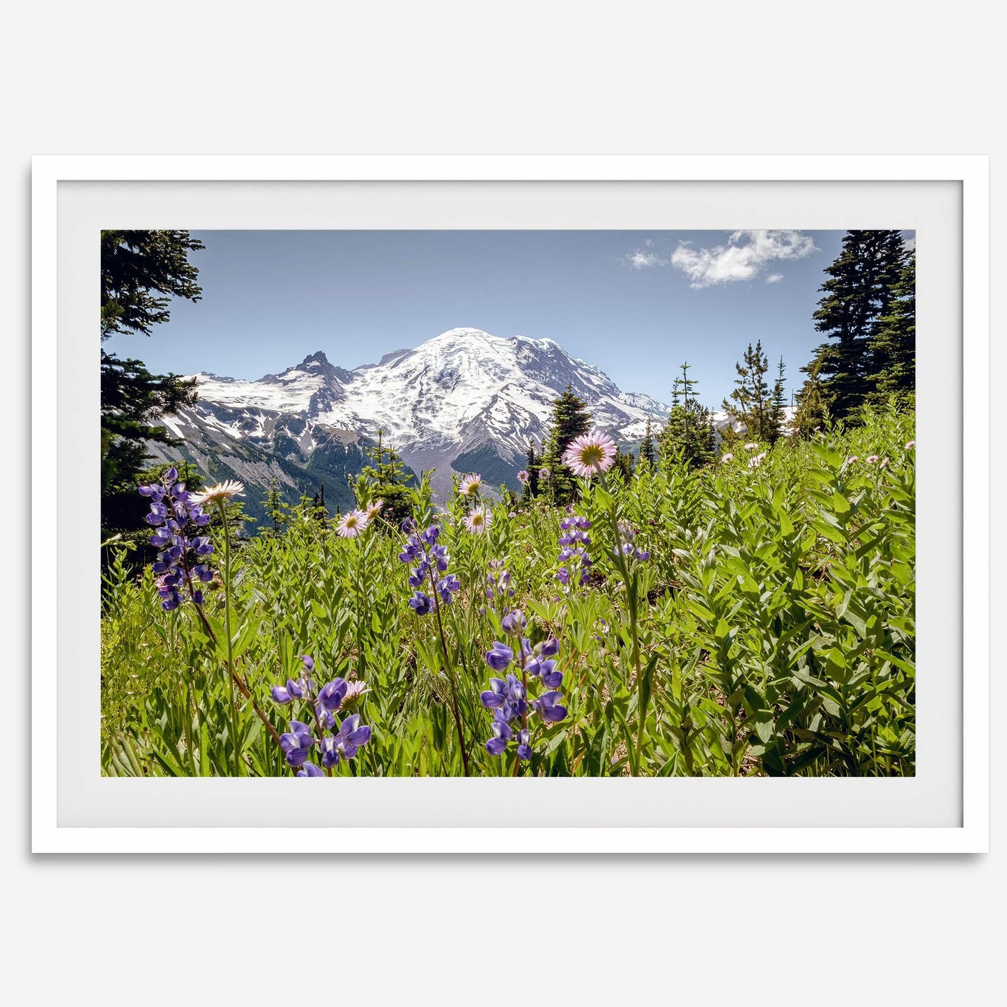 Mount Rainier