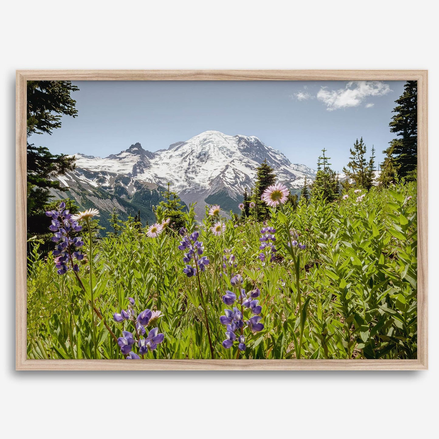 Mount Rainier