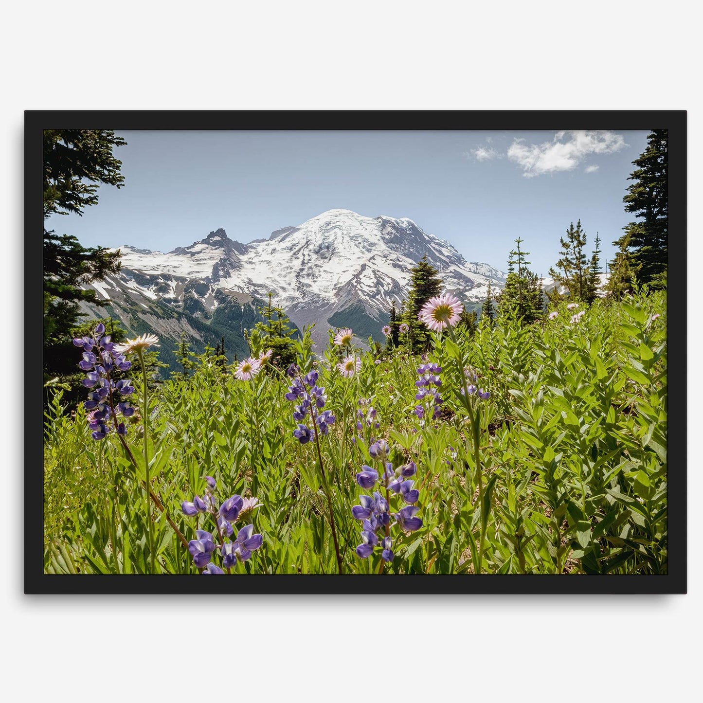 Mount Rainier