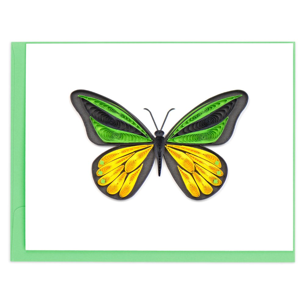 Quilled Butterflies Note Card Box Set