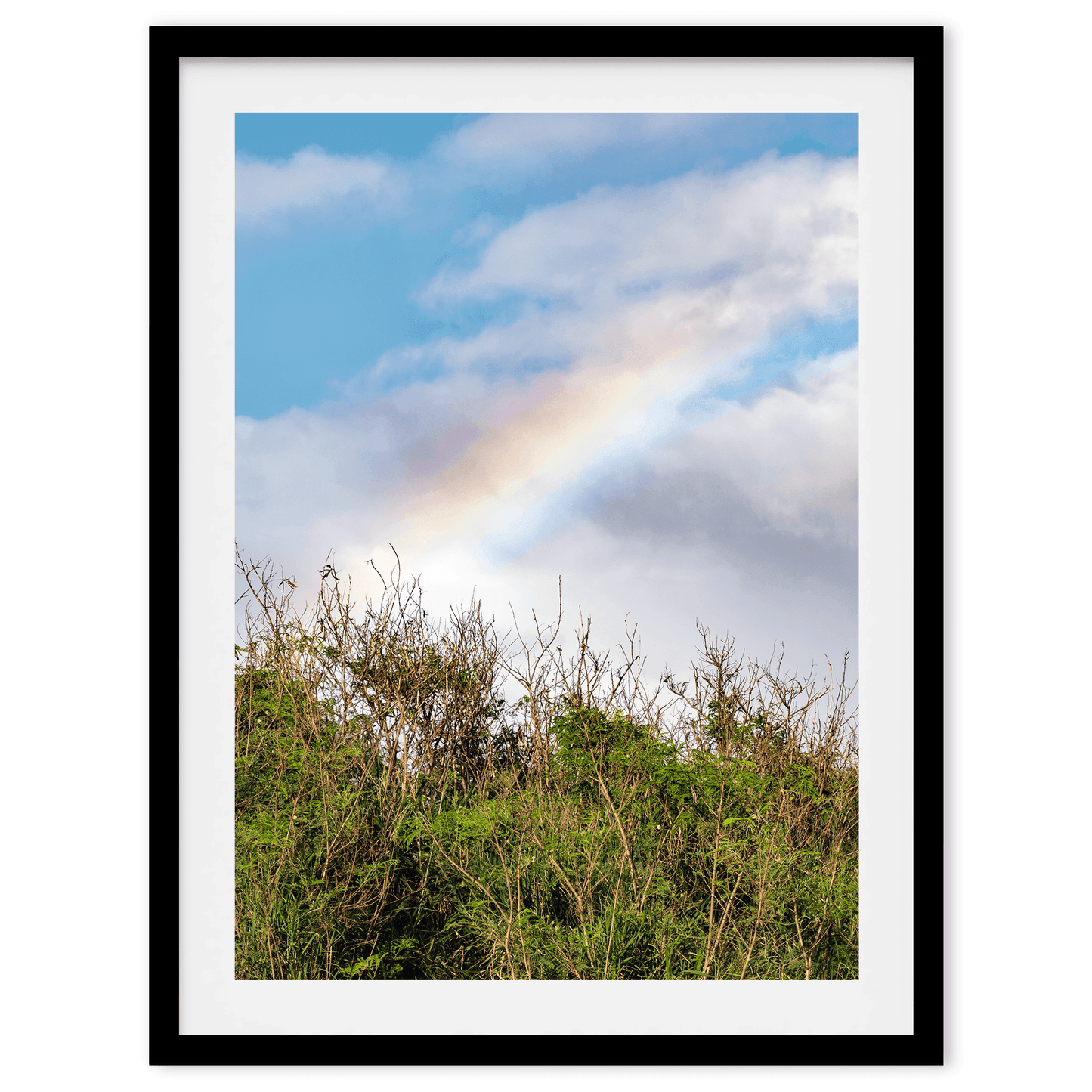 Cloudy Rainbow