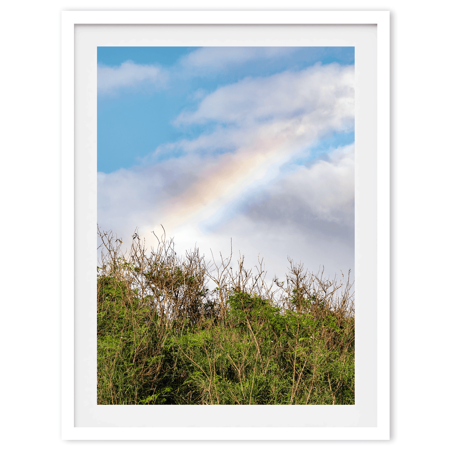 Cloudy Rainbow