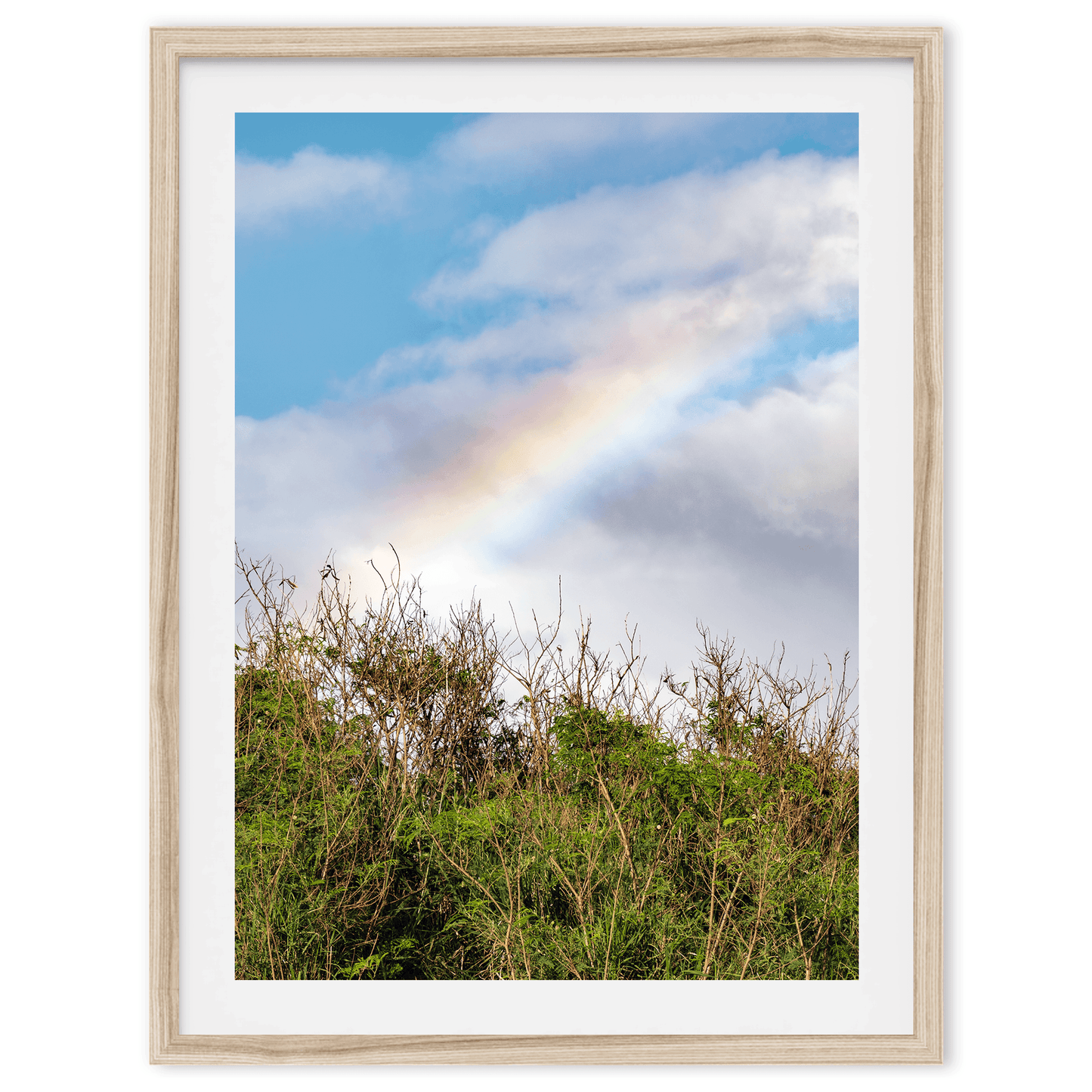 Cloudy Rainbow
