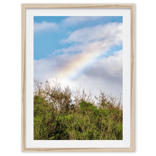 Cloudy Rainbow