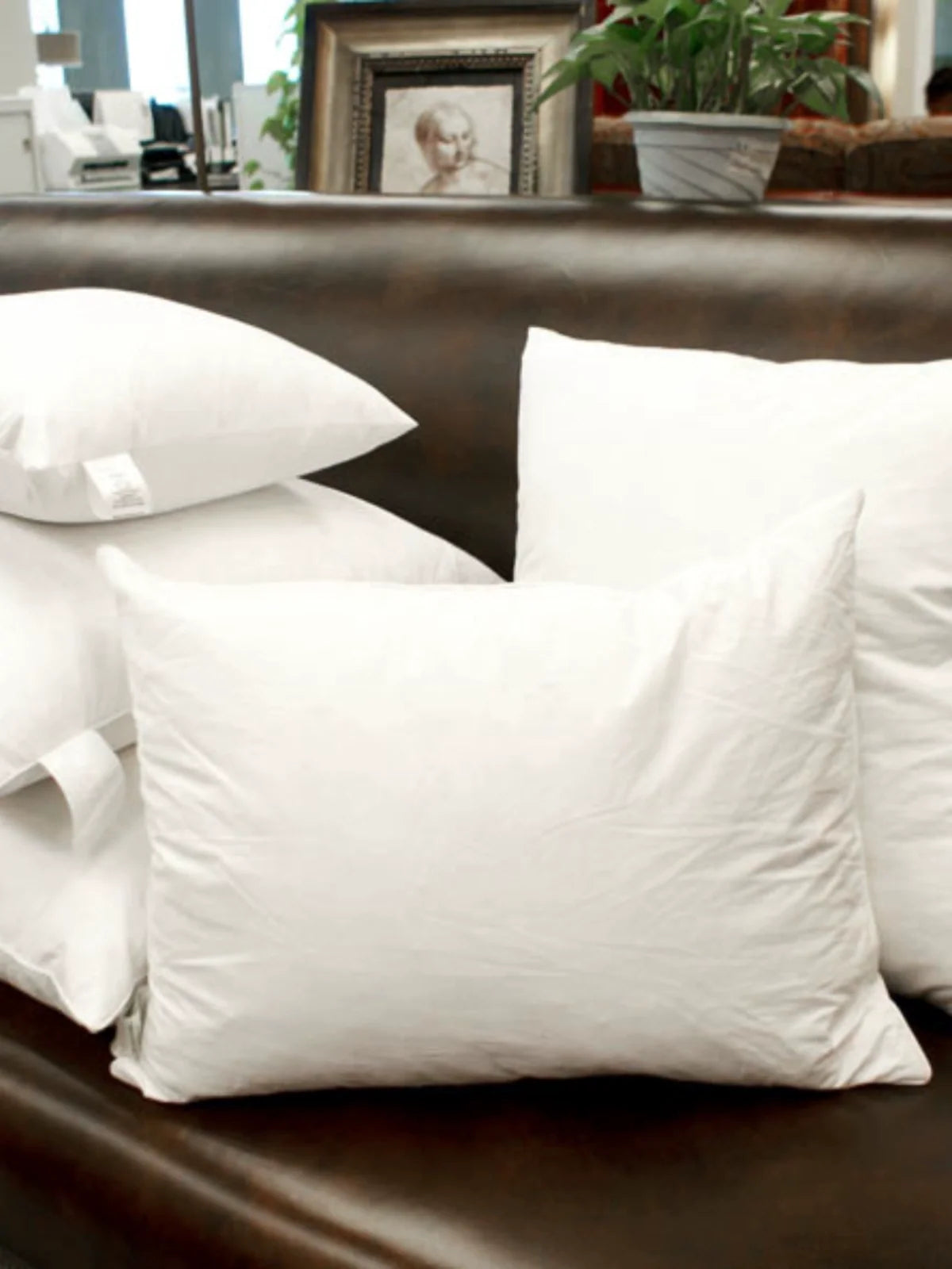 Goose Feather Pillow Insert