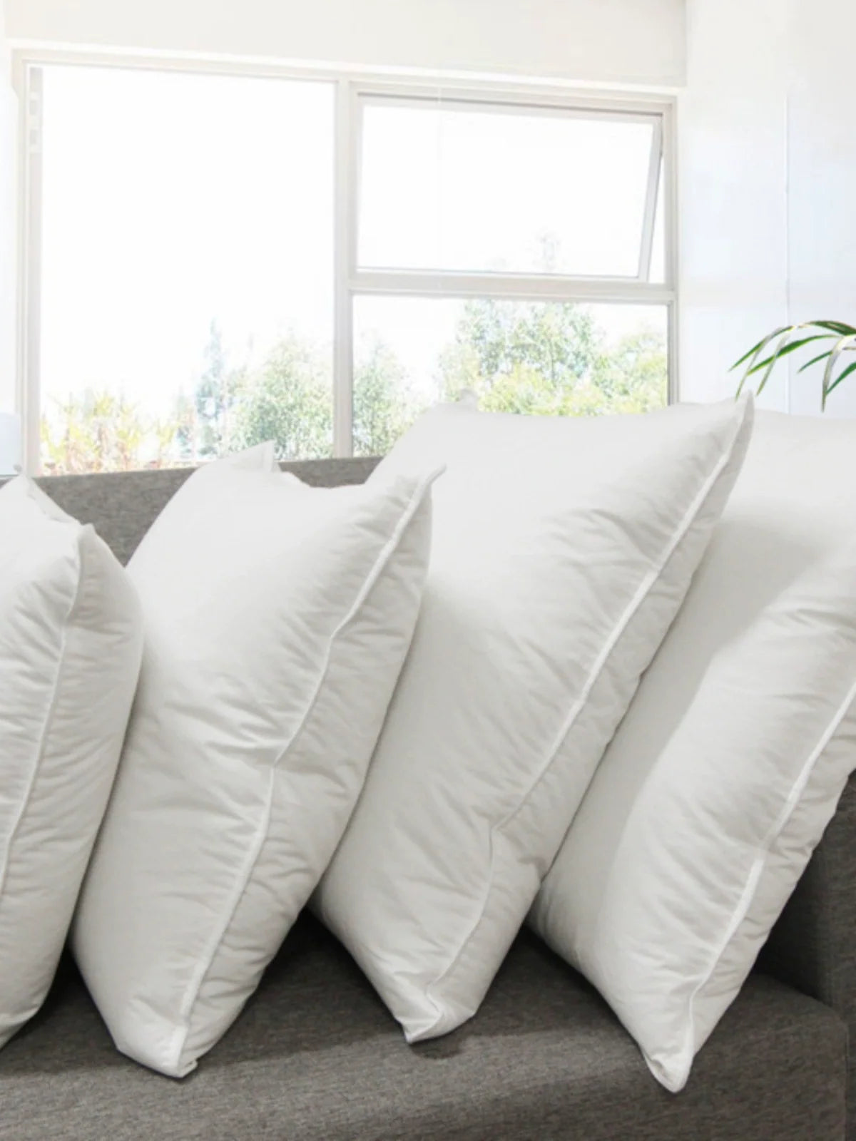 Goose Feather Pillow Insert