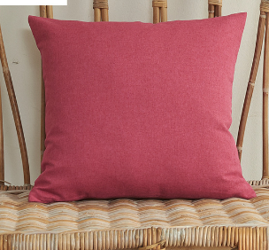 Solid Color Outdoor Waterproof Throw Pillow cover AND Insert  Square or Rectangle