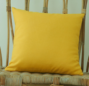 Solid Color Outdoor Waterproof Throw Pillow cover AND Insert  Square or Rectangle