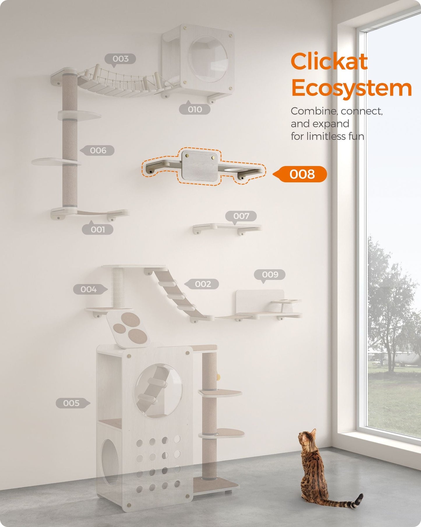 Collection - No.008 Large Cat Shelf for Wall