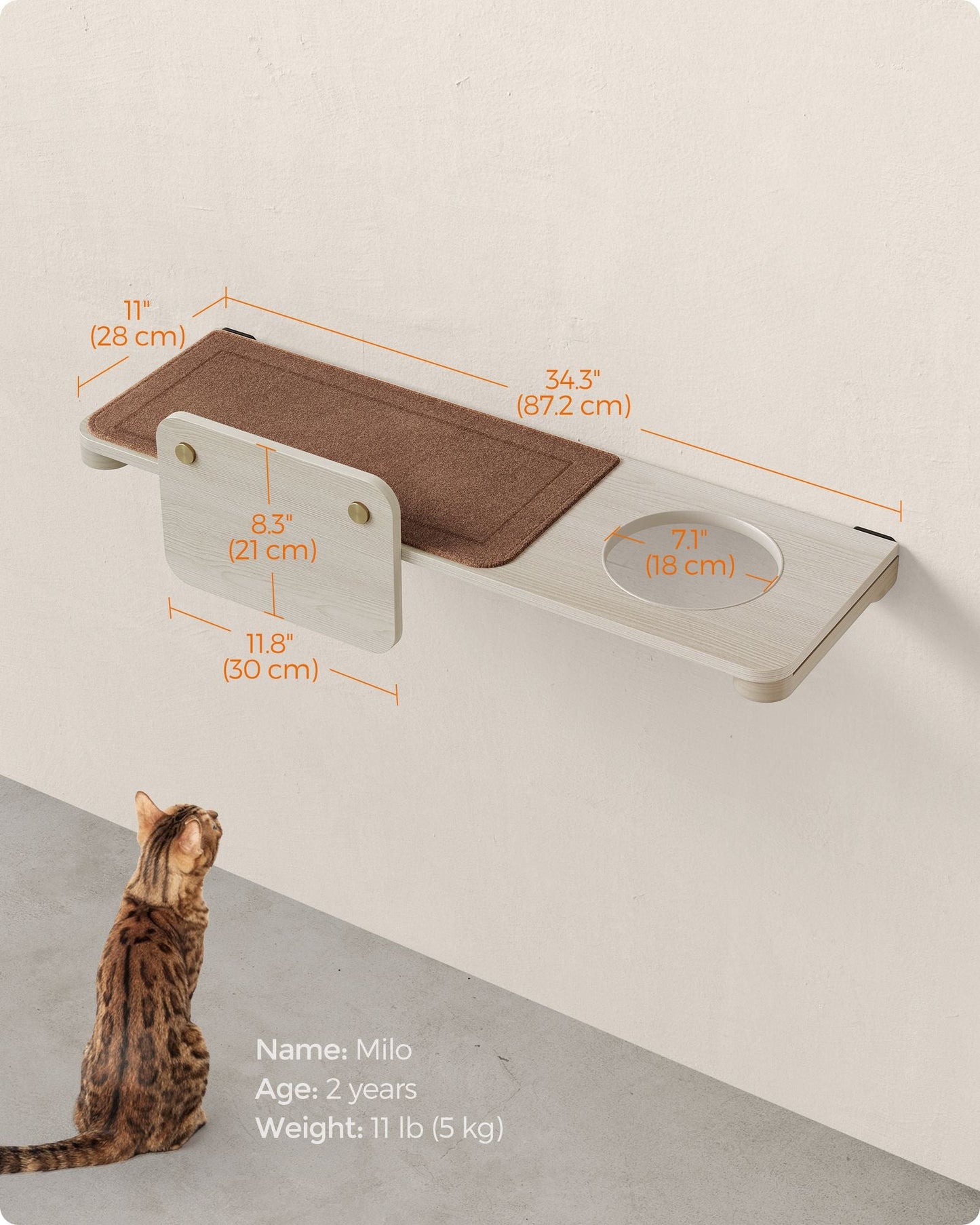 Collection - No.008 Large Cat Shelf for Wall