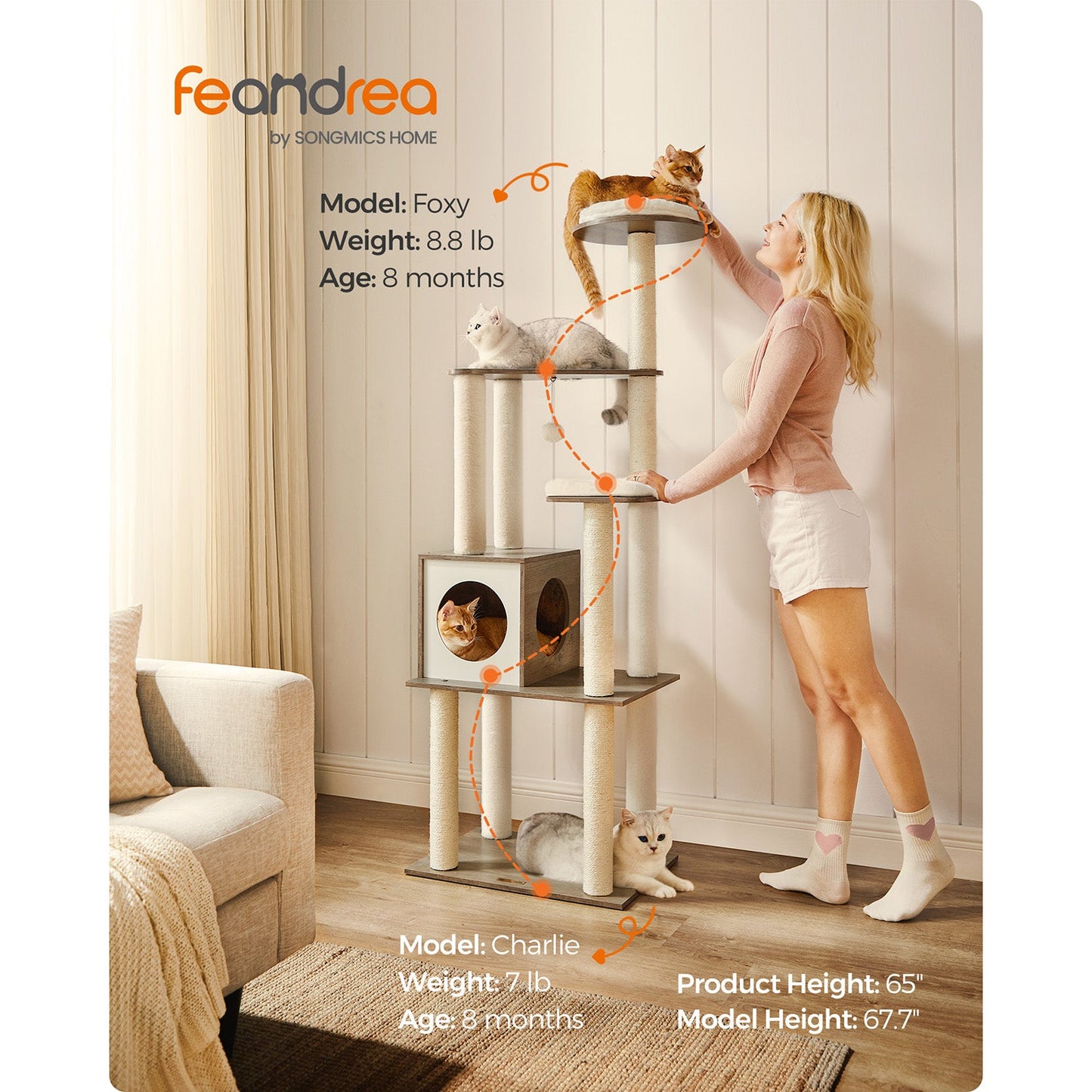65-Inch Modern Cat Tower