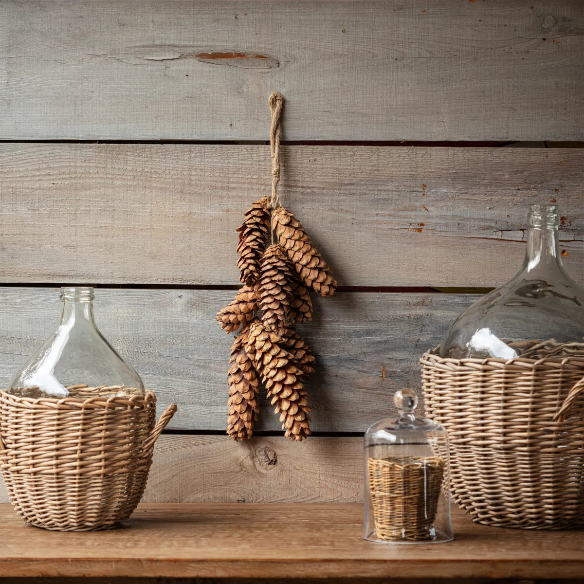 Dried Luffa Stem Bunch