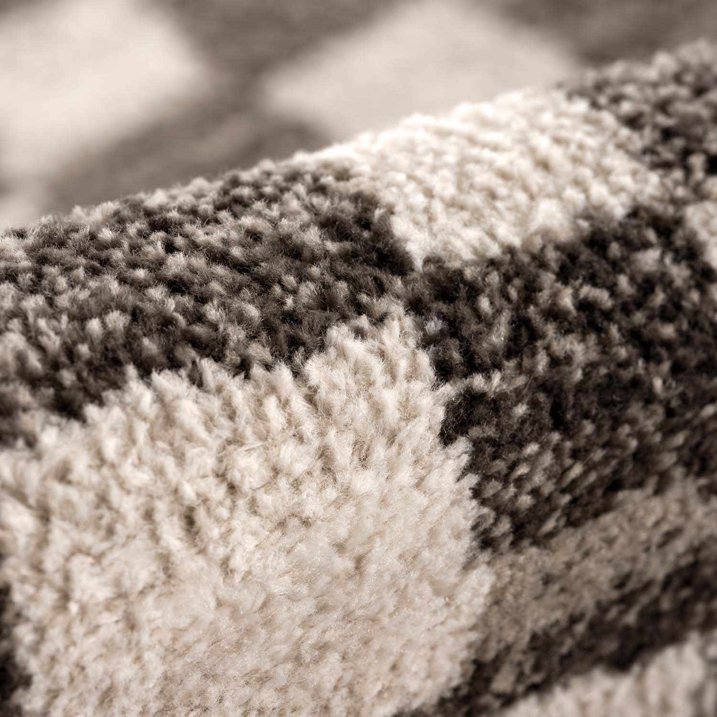 Benjy Cream & Charcoal Checkered Area Rug