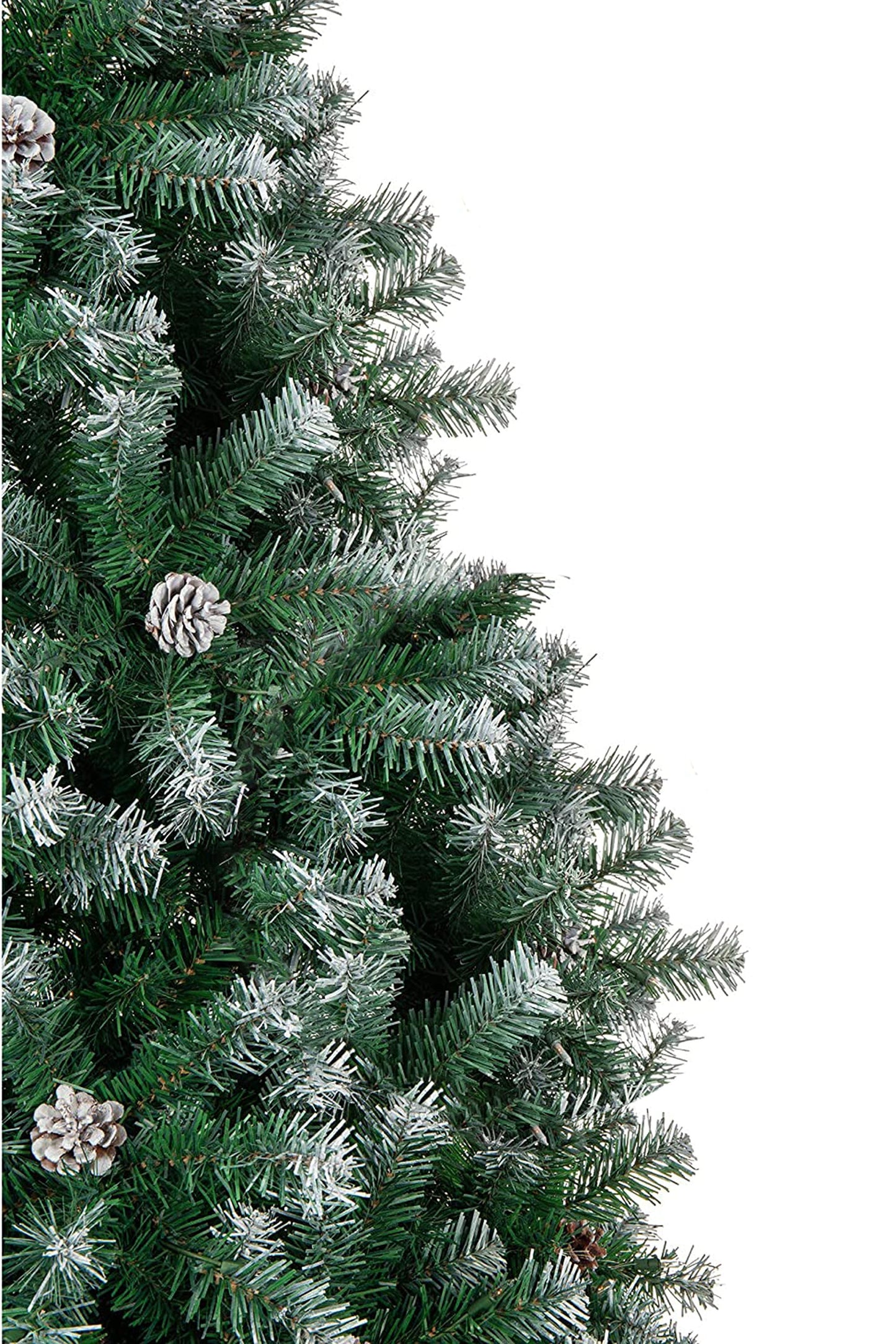 Frosted Oregon Fir with Snow Dusted Pine Cones