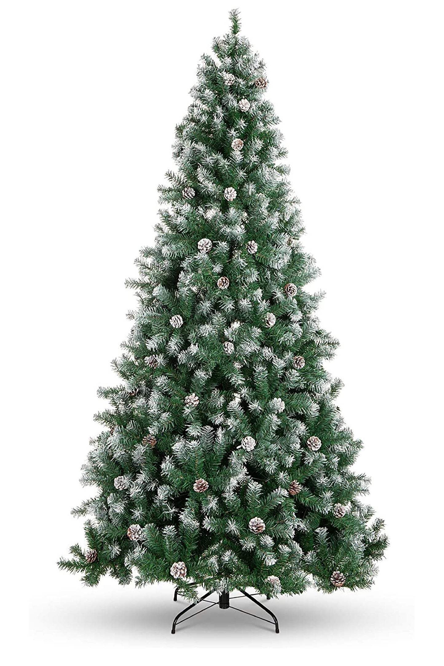 Frosted Oregon Fir with Snow Dusted Pine Cones