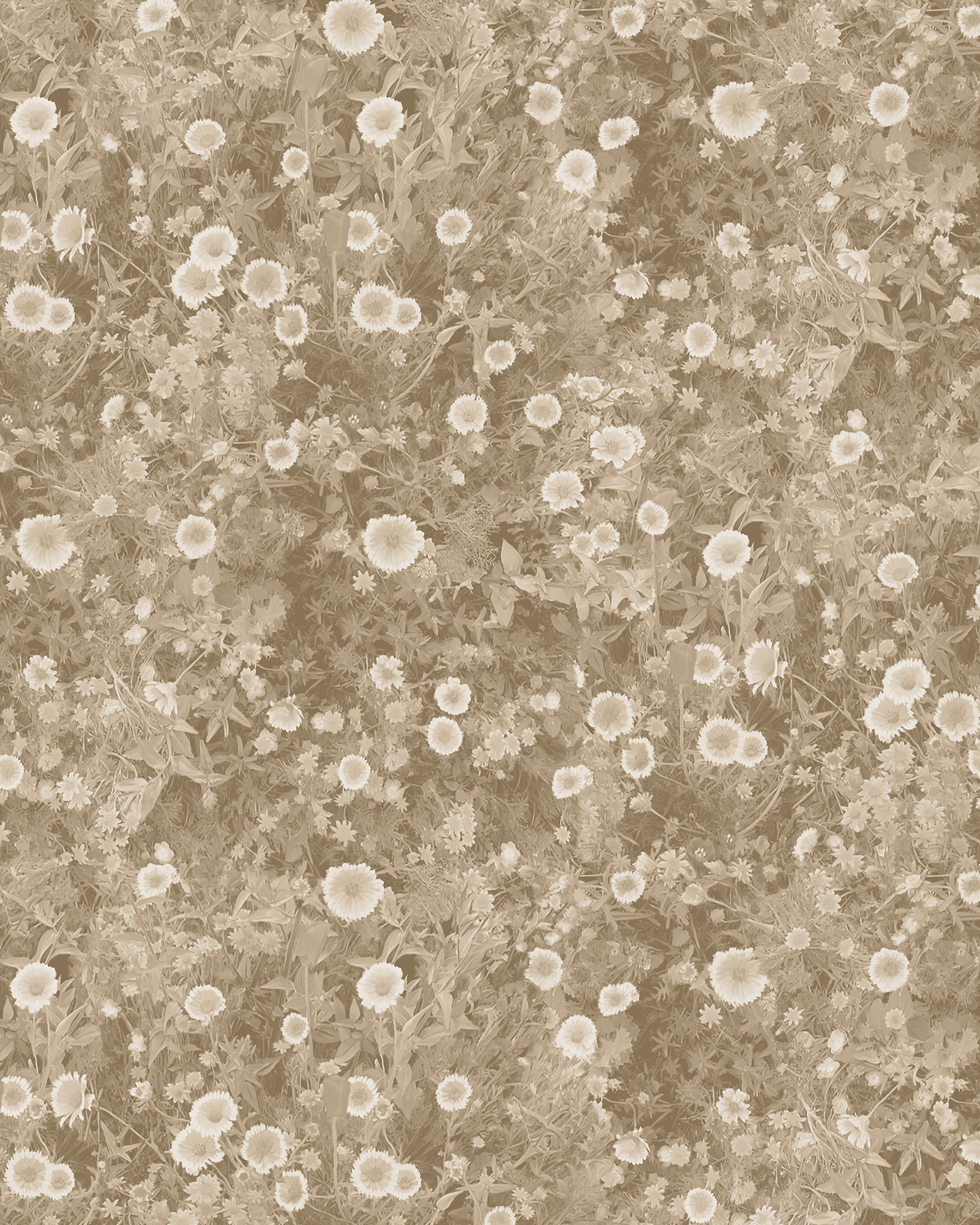 Cali Flowers Wallpaper, neutrals