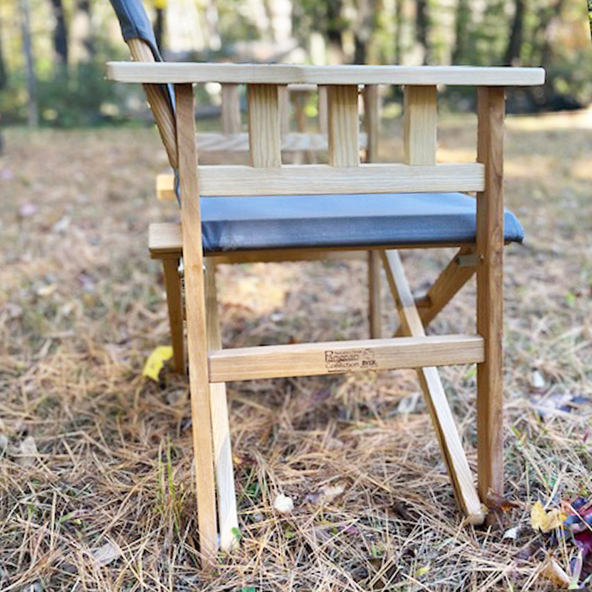 Pangean Campaign Chair