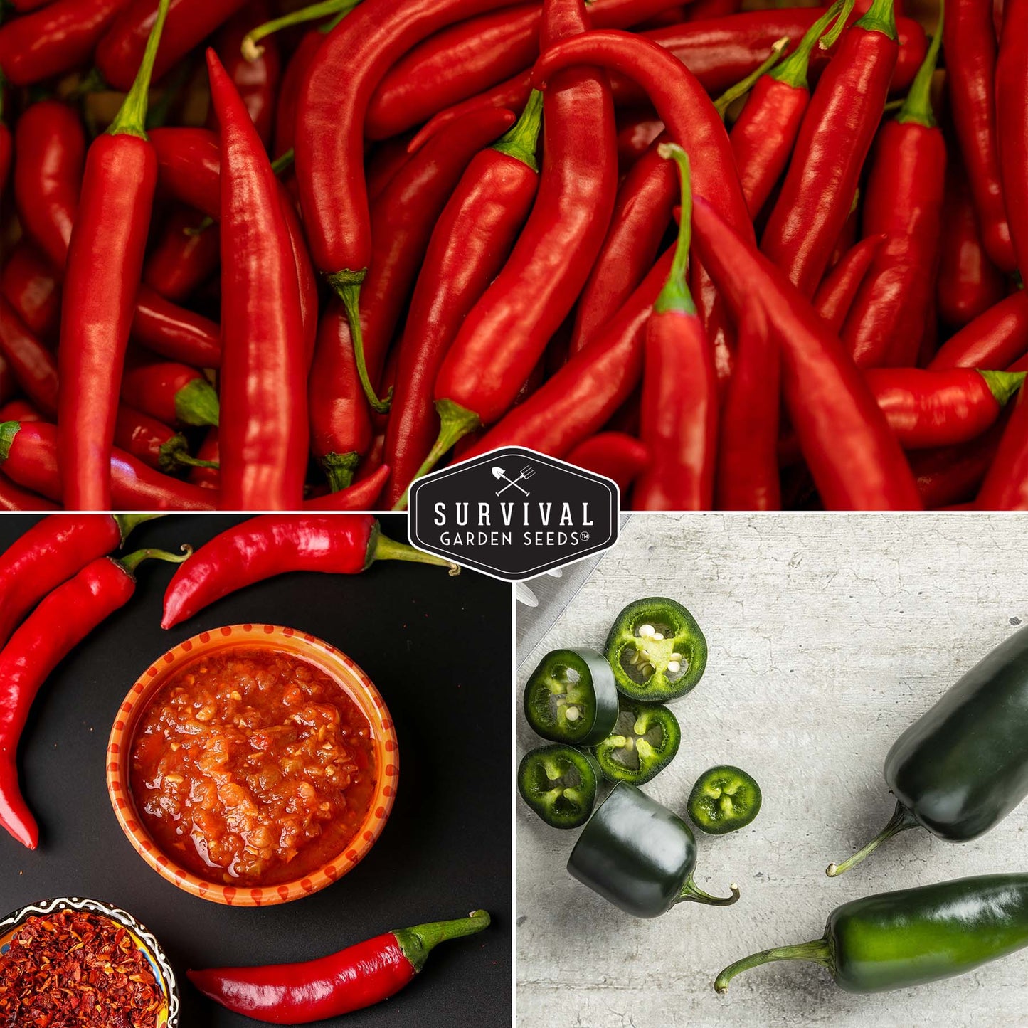 Hot Pepper Seed Collection – Heirloom Non-GMO 4-Variety Pack: Jalapeño, Serrano, Cayenne & Habanero Orange for Salsas, Sauces & Spicy Cooking