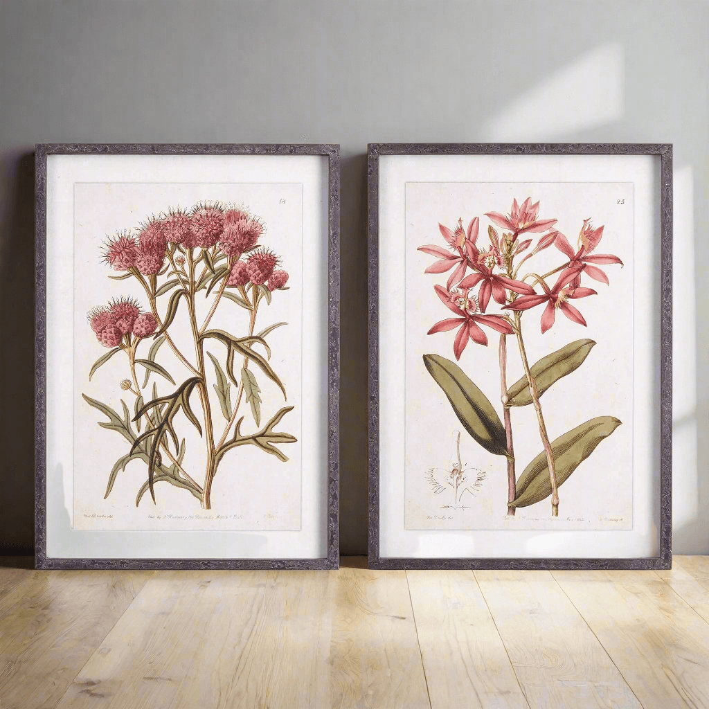 Pink Vintage Botanical Floral Prints (Set of 2)