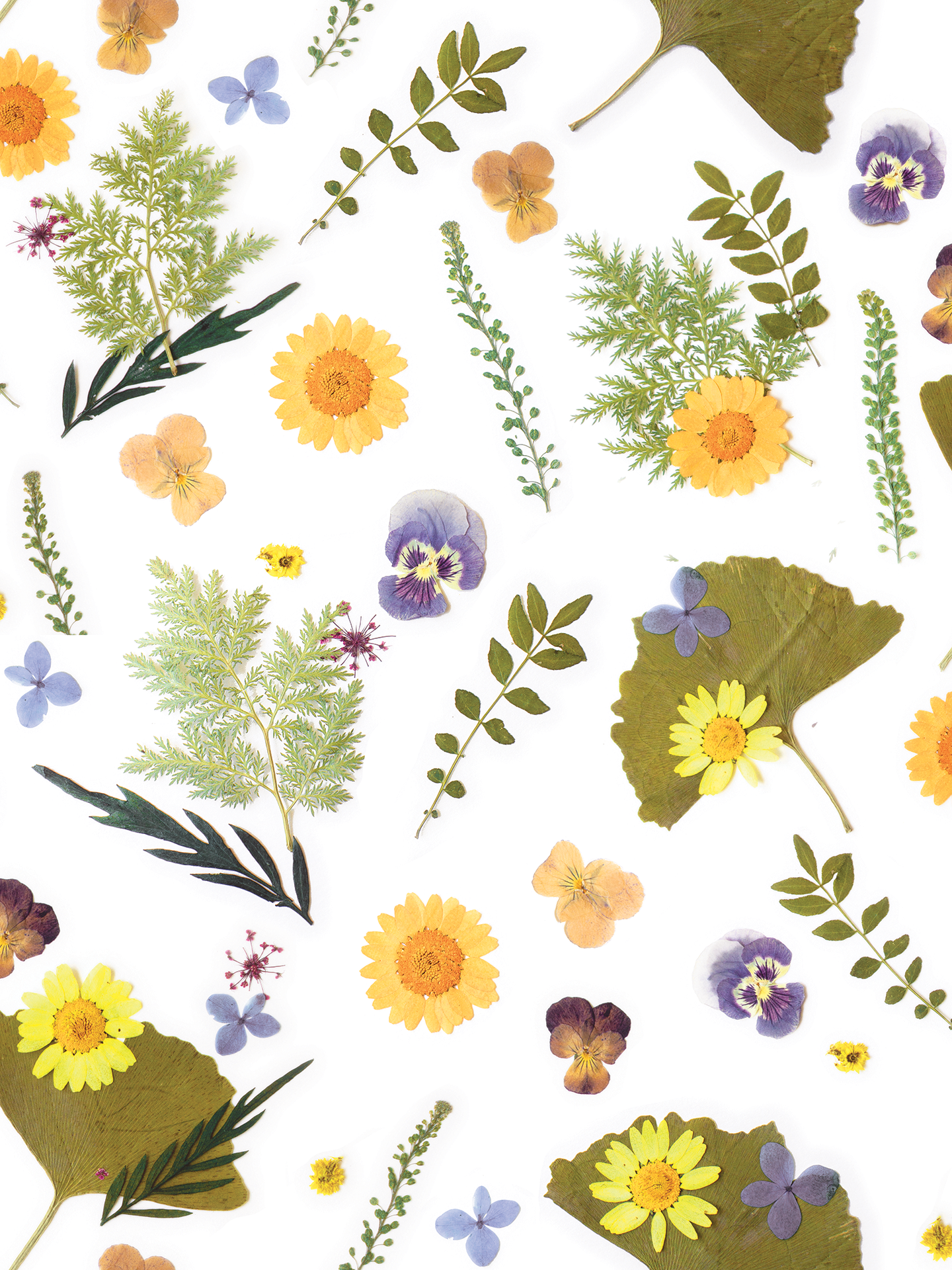 Pressed Fresh Version 01 Wallpaper, yellow and lavender