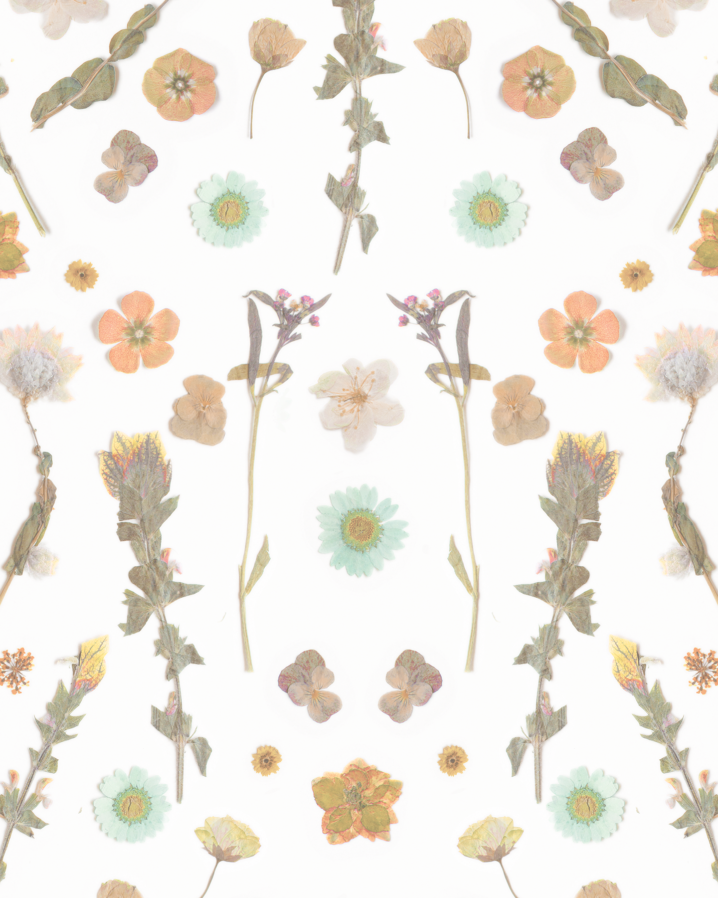 Pressed Fresh Version 02 Wallpaper, peach and mint