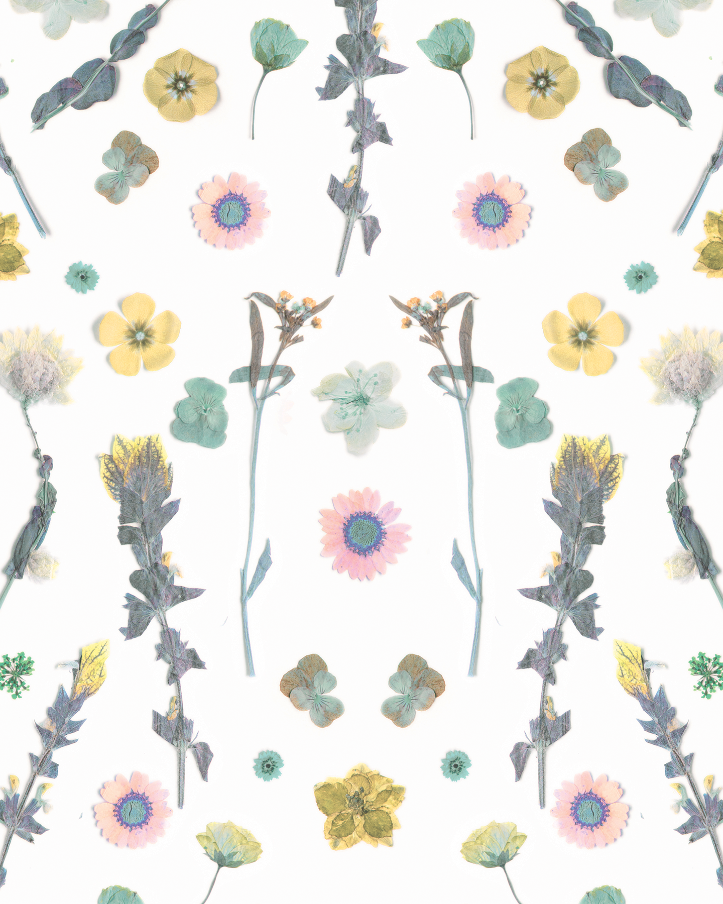 Pressed Fresh Version 02 Wallpaper, pink & yellow