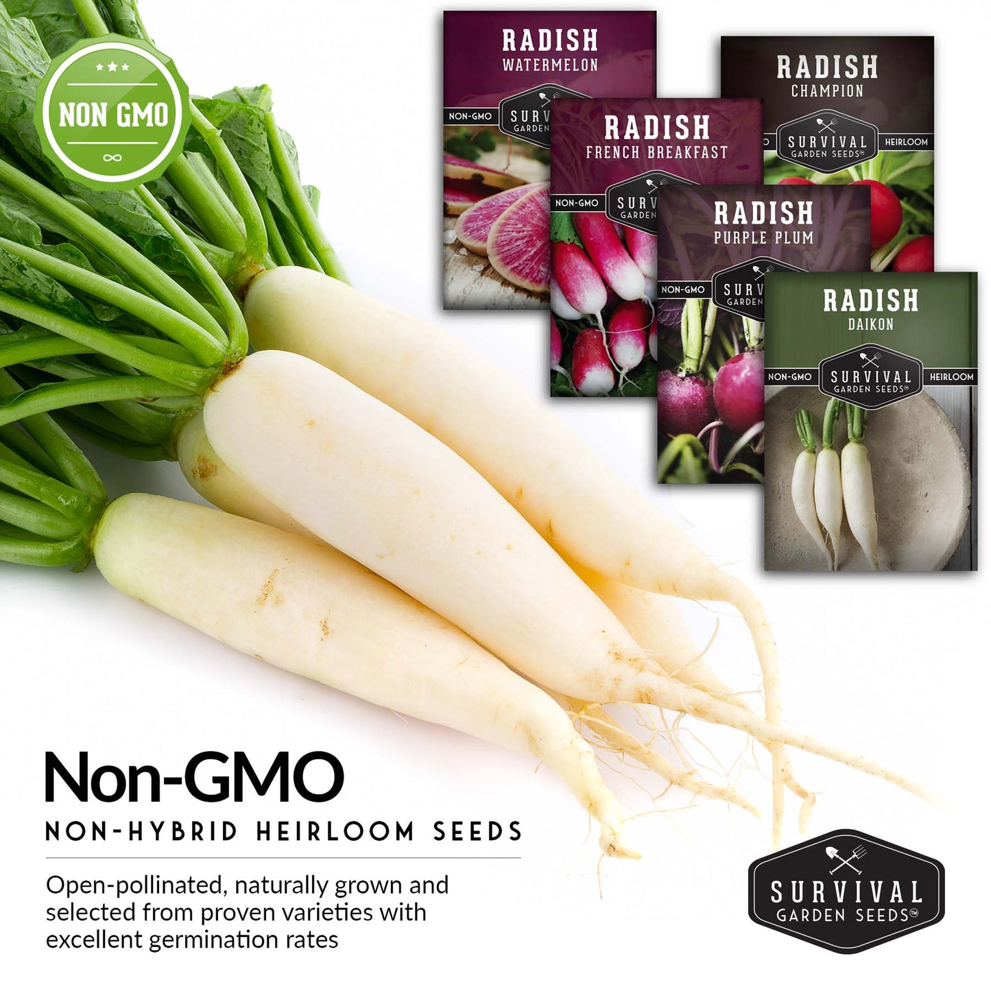 5 Variety Radish Seeds Pack – Heirloom Collection for Spring, Summer & Fall Gardens