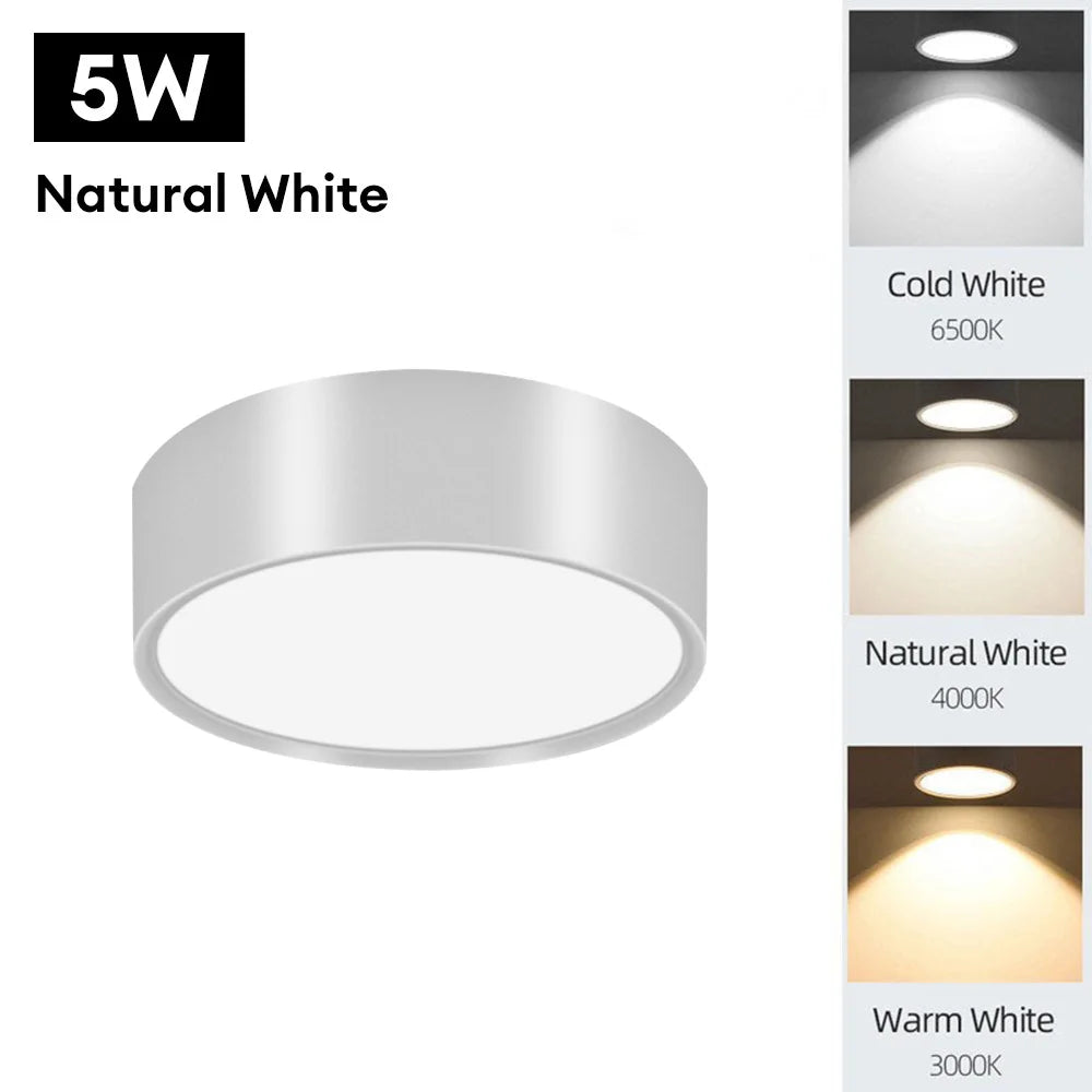 90-250V LED Ceiling Light - Choose from 5W or 10W - Surface Mounted Downlight for Stylish Indoor Illumination