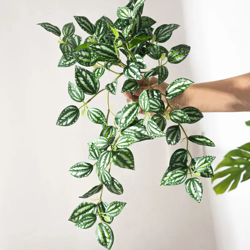Dlight Decor Scindapsus Vine for Wall Hanging and Garden Styling