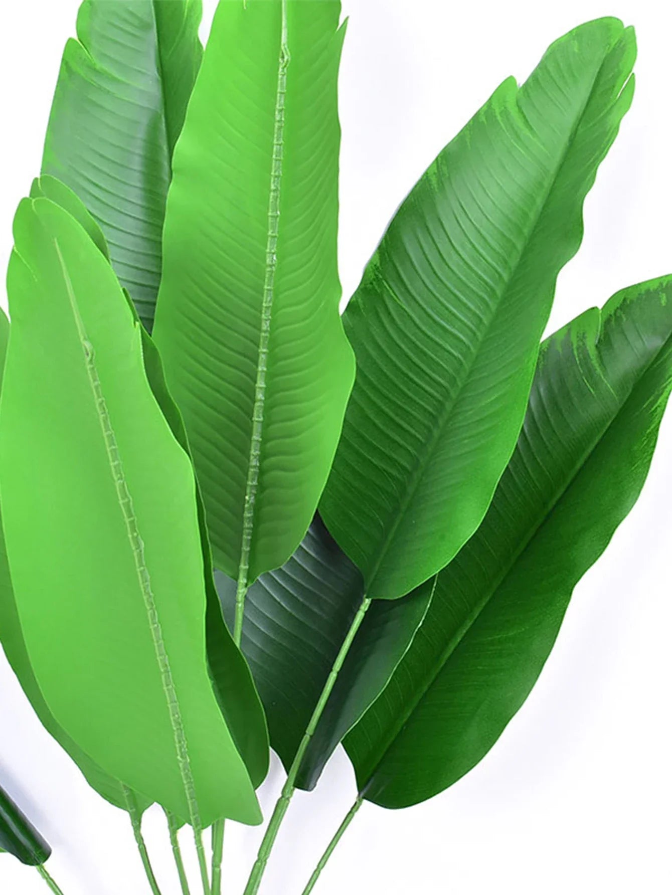 Dlight Decor 78cm Tall Tropical Monstera Plant with Banana Leaves