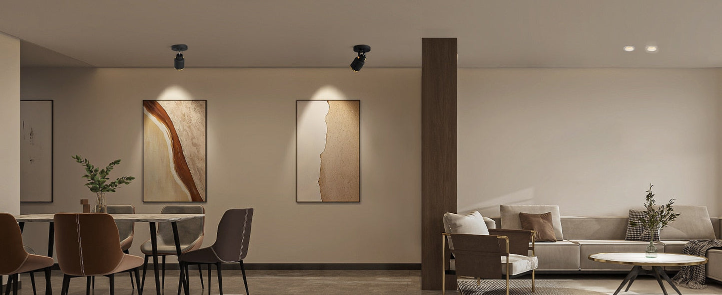 Emily's Nordic LED Ceiling Spotlight - Adjustable 60° Surface Mounted Light
