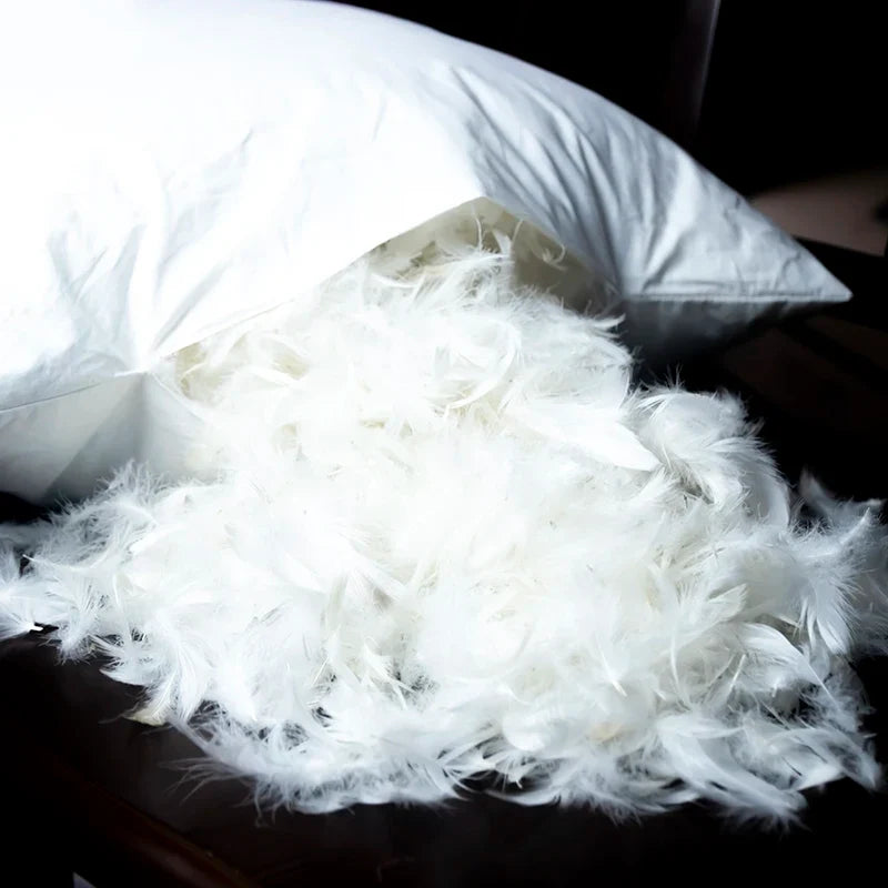 Fifth Avenue Goose Down Pillow