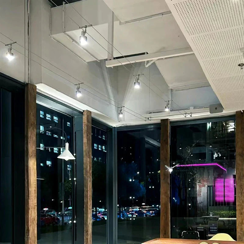 12V Steel Wire Track Spotlights for Commercial and Decorative Lighting