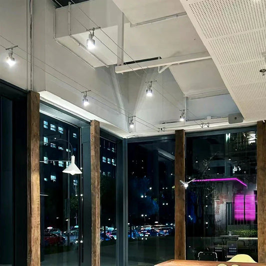 12V Steel Wire Track Spotlights for Commercial and Decorative Lighting