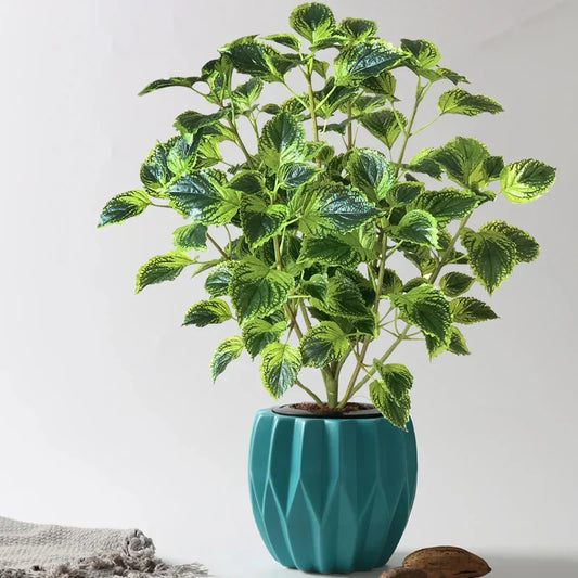 Dlight Decor Eucalyptus Tree for Tropical Indoor Floor Styling