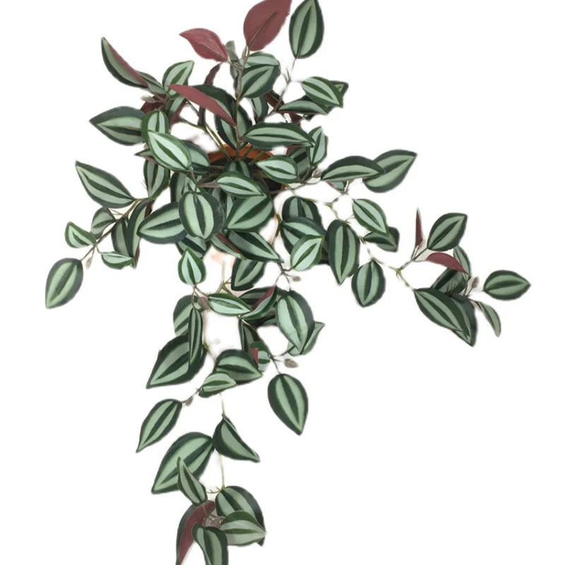 Dlight Decor Scindapsus Vine for Wall Hanging and Garden Styling