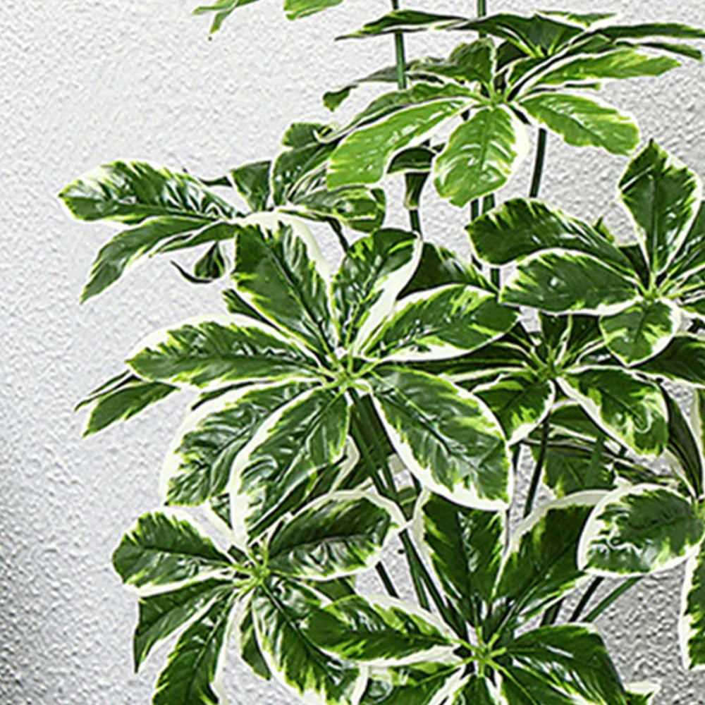 Dlight Decor 65 to 75cm Tropical Monstera Plant with Turtle Leaves
