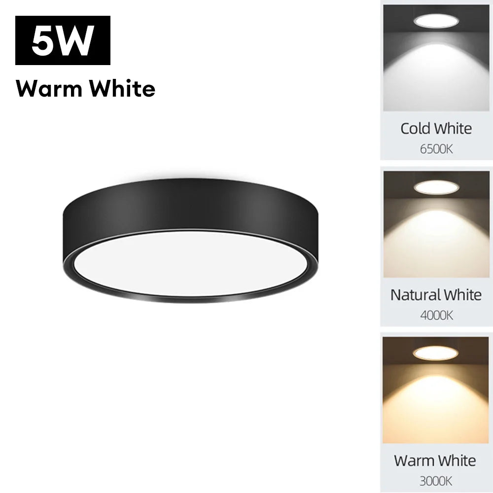 90-250V LED Ceiling Light - Choose from 5W or 10W - Surface Mounted Downlight for Stylish Indoor Illumination