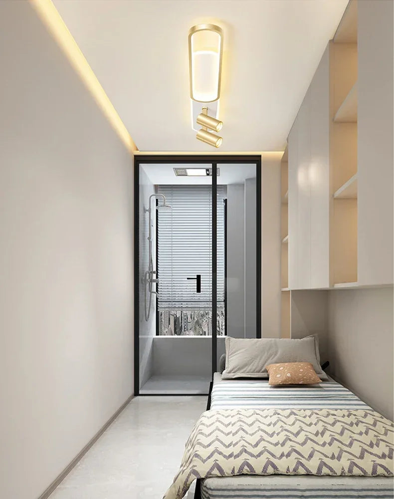 Contemporary LED Ceiling Lamps with Spotlight - Stylish Lighting for Living Spaces and Cloakrooms