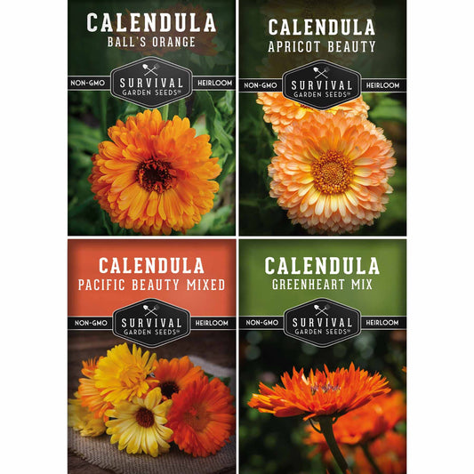 Calendula Seed Collection – Pacific Beauty, Apricot Beauty, Balls Orange & Greenheart for Colorful, Herbal Blooms
