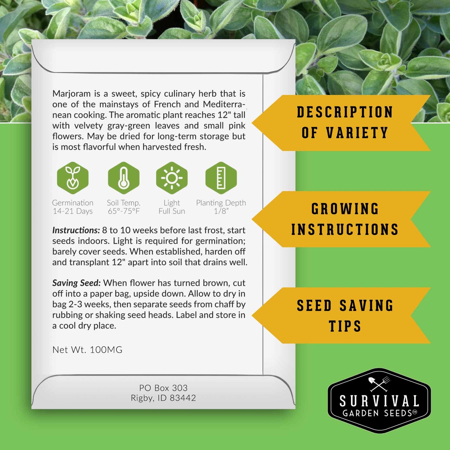 Drought-Tolerant Herb & Flower Seed Kit – 8 Full-Sun, Xeriscape-Friendly Varieties for Low-Water Gardens