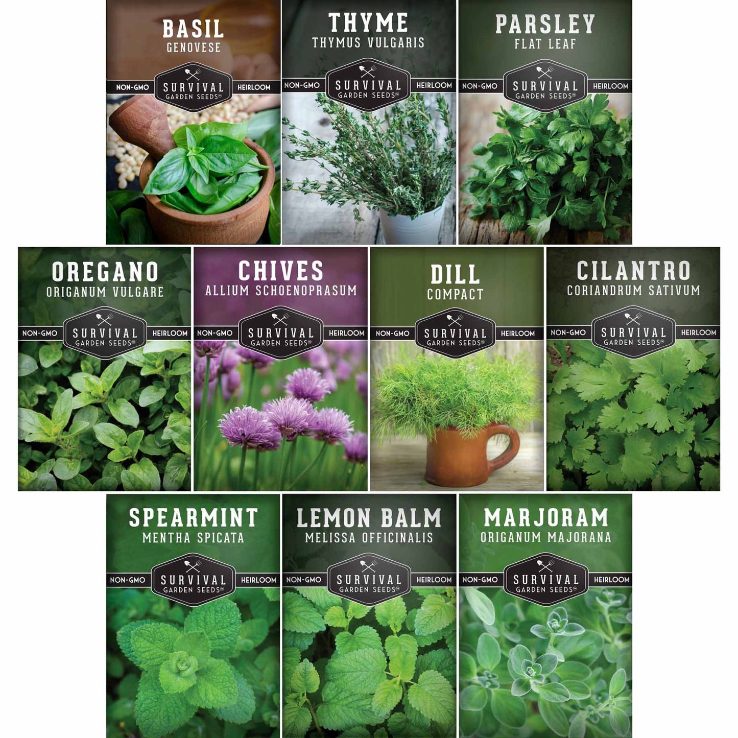 Indoor Herb Garden Seeds Variety Pack – 10 Heirloom Culinary Herbs for Windowsill or Container Growing