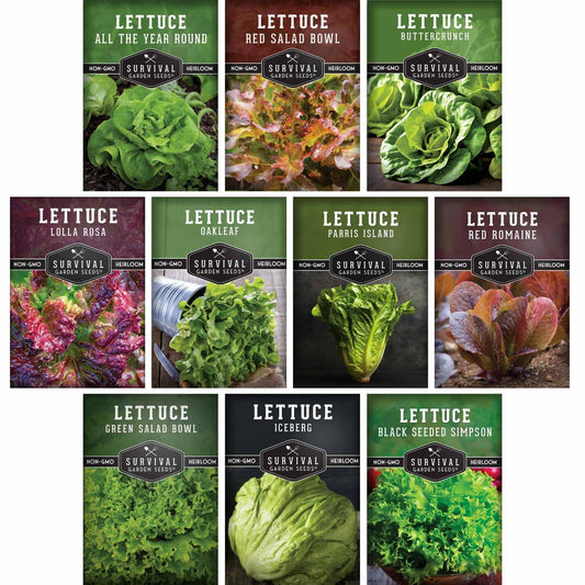 10 Lettuce Seed Collection – Looseleaf, Romaine, Butterhead & Crisphead Varieties for Year-Round Salad Harvests