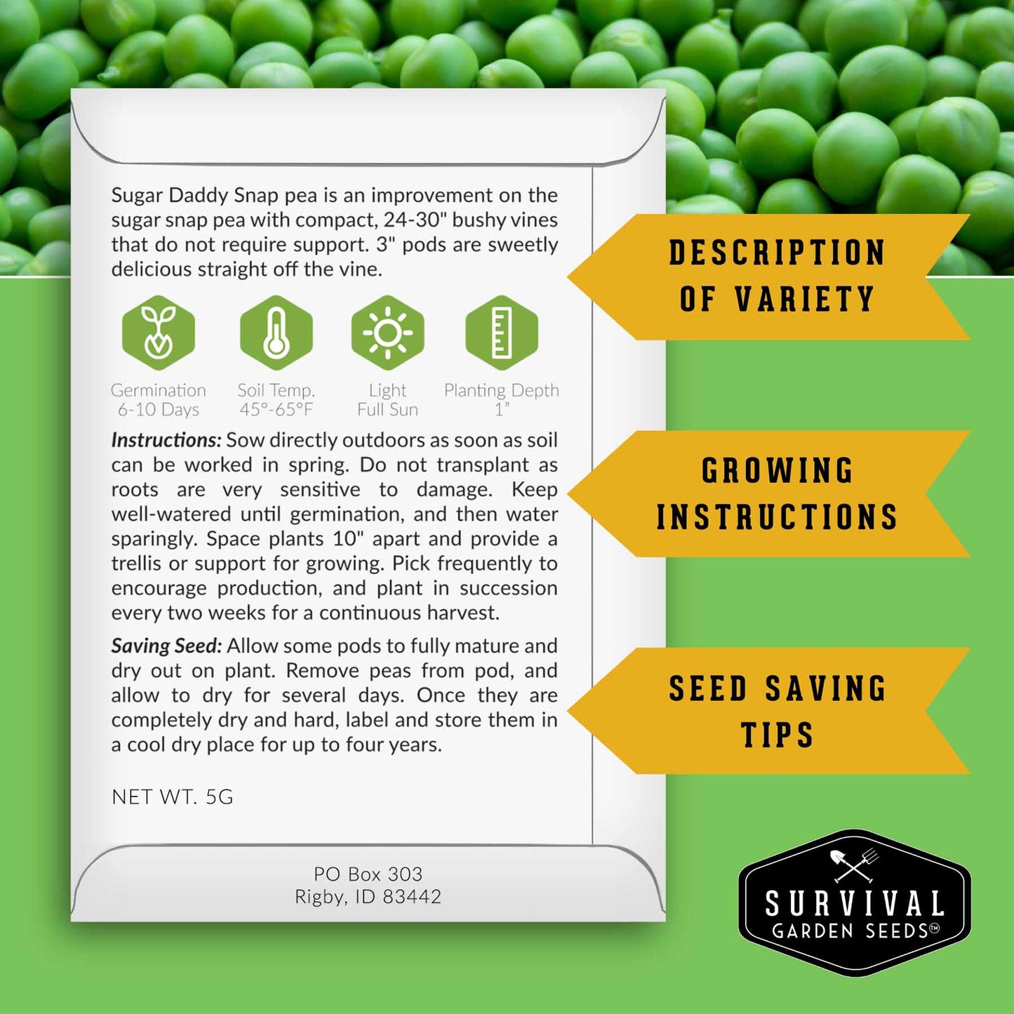 Sugar Pea Seed Collection – Oregon Sugar Pod II & Sugar Daddy Snap Peas for Crisp, Sweet Cool-Season Harvests