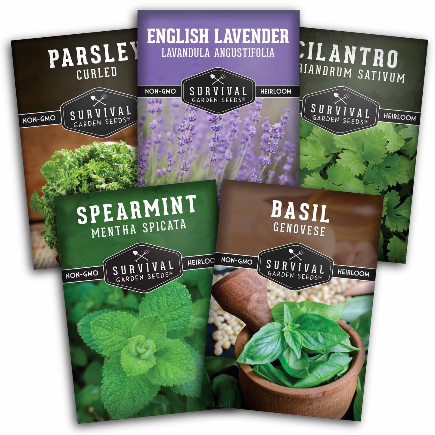 Popular Herb Seed Collection – 5 Heirloom Non-GMO Herbs for Culinary & Garden Use (Spearmint, Basil, Cilantro, Lavender & Parsley) – Indoor or Outdoor Growing Kit