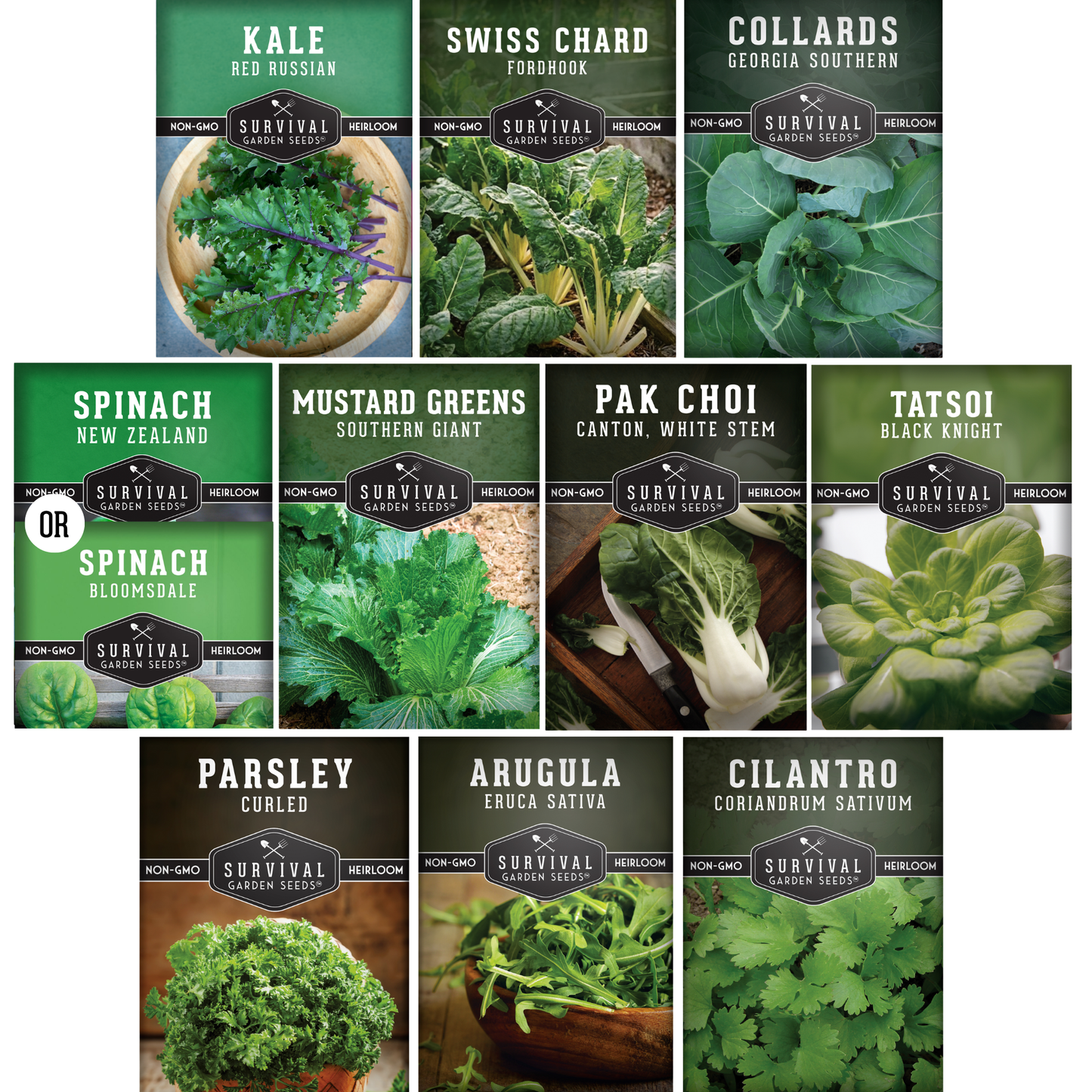 Power Greens Seed Collection – 10 Heirloom Non-GMO Leafy Green & Herb Varieties for Year-Round Nutrition